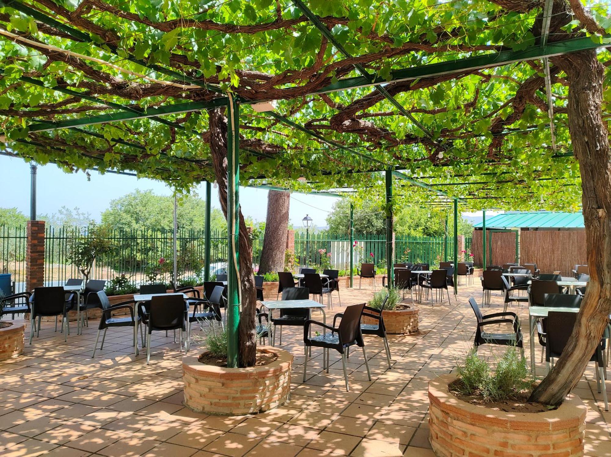 Jarafuel El Molino Hostal-Restaurante מראה חיצוני תמונה